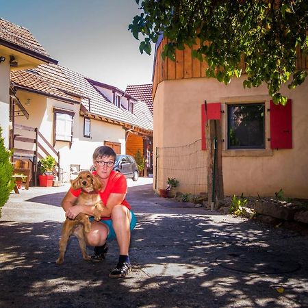 Au Murier Goxwiller Esterno foto