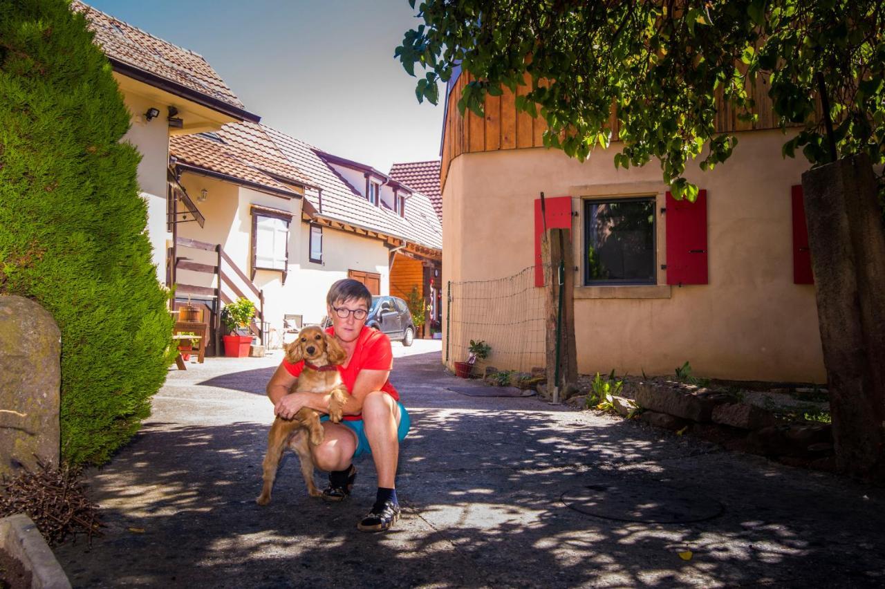 Au Murier Goxwiller Esterno foto